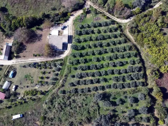 Premium rural estate for sale in Ulcinj, Montenegro: house, outbuildings, pool & eco landscape. Exclusive from ekosphere doo.