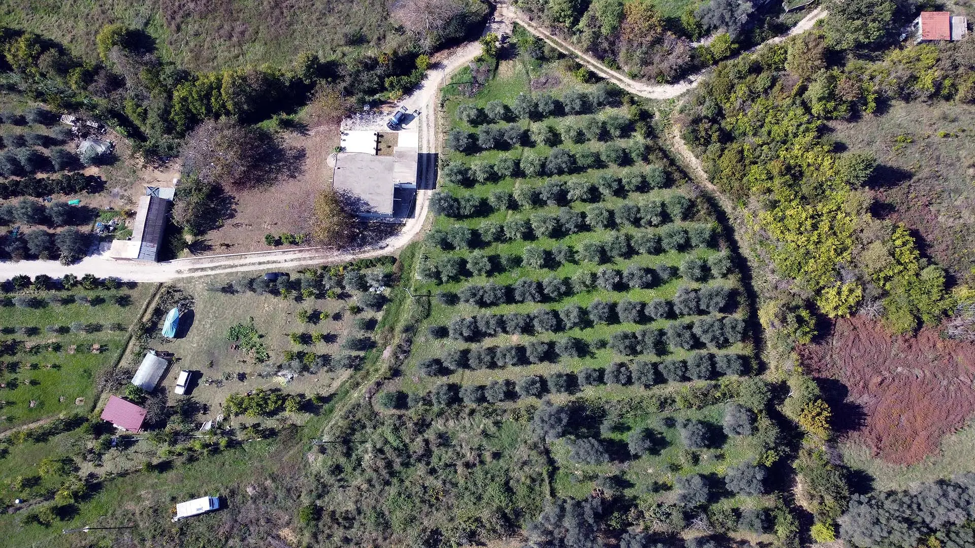 Premium rural estate for sale in Ulcinj, Montenegro: house, outbuildings, pool & eco landscape. Exclusive from ekosphere doo.