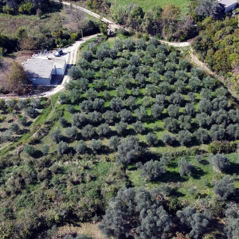 Prime rural property for sale in Ulcinj, Montenegro: small building, grove, gravel road. Invest via immorenta.me by Ekosphere doo.