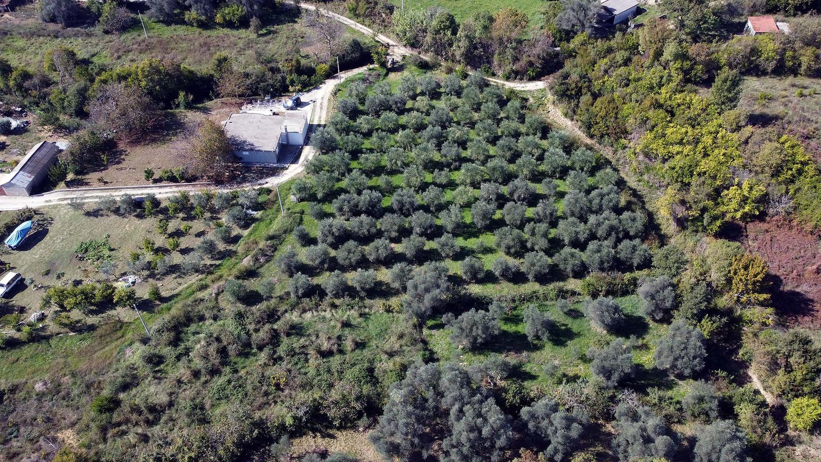 Prime rural property for sale in Ulcinj, Montenegro: small building, grove, gravel road. Invest via immorenta.me by Ekosphere doo.