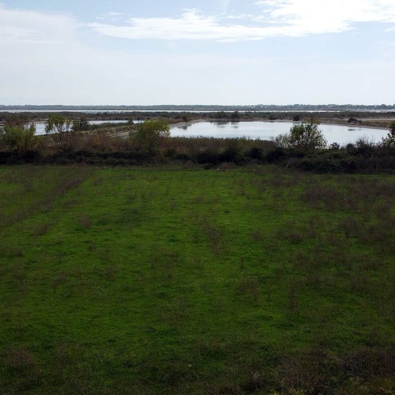 Prime Ulcinj land for sale: lush green fields, pond, scenic views&acirc;exclusive investment on immorenta.me by ekosphere doo.