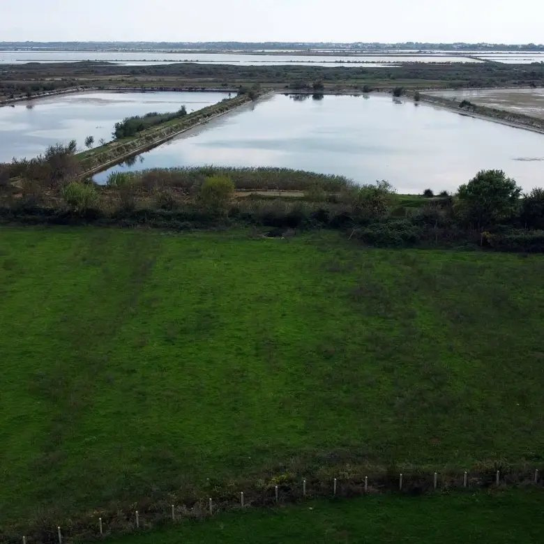 Prime fenced green field with ponds, ideal for Ulcinj real estate investment. Listed by immorenta.me, ekosphere doo project.
