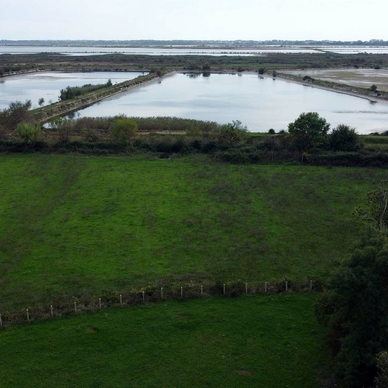 Premium investment opportunity: expansive green fields, wooded borders, and ponds in Ulcinj, near real estate on immorenta.me by ekosphere doo.