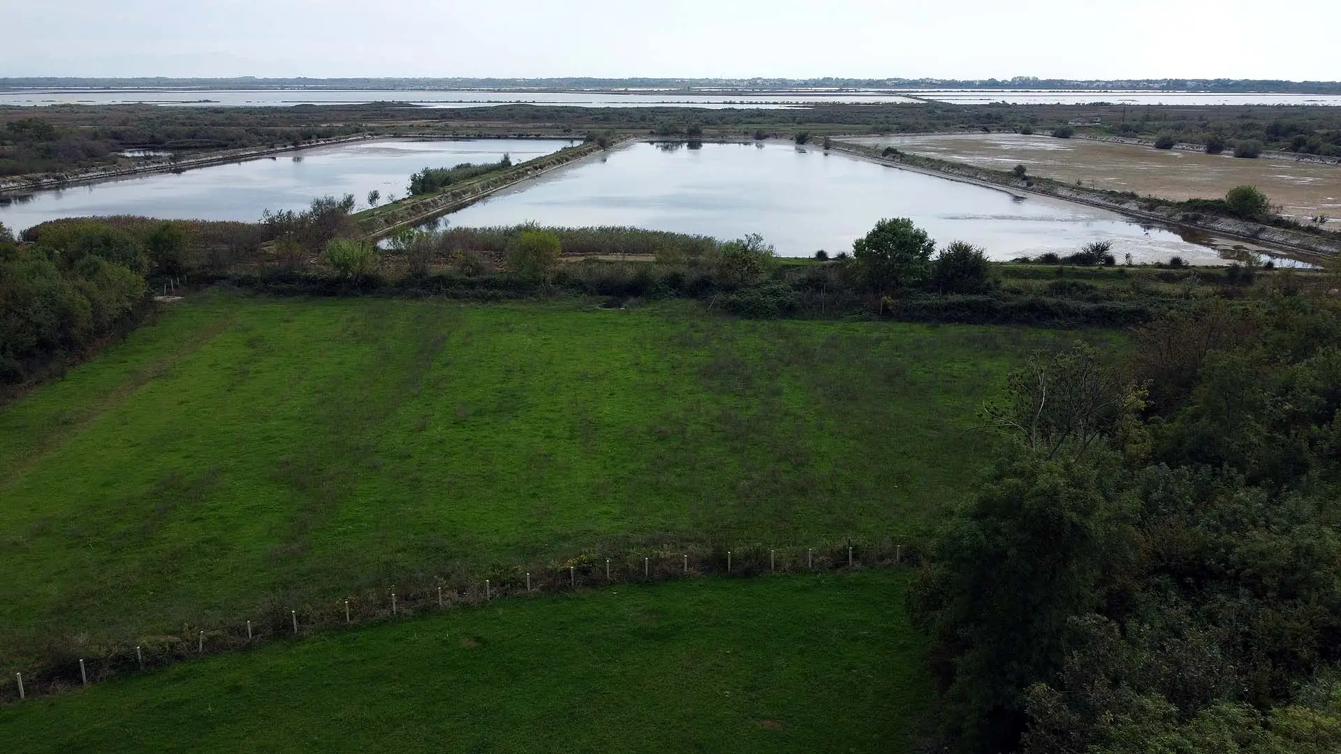 Premium investment opportunity: expansive green fields, wooded borders, and ponds in Ulcinj, near real estate on immorenta.me by ekosphere doo.