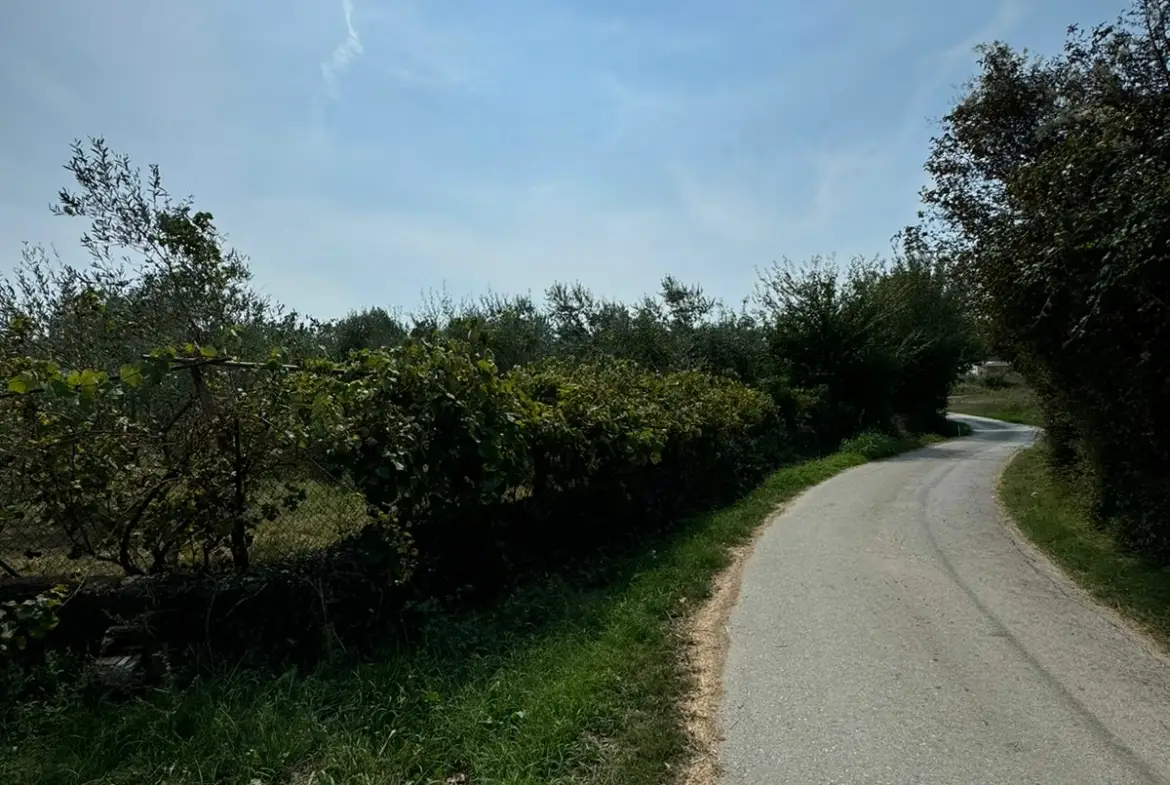 IMG 20240906 WA0004 1170x785