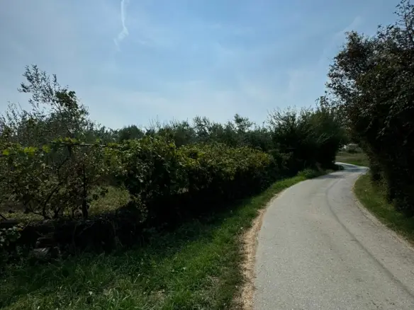 Scenic paved road amid lush greenery in Ulcinj, Montenegro&mdash;premier real estate and investment opportunities by immorenta.me/Ekosphere.