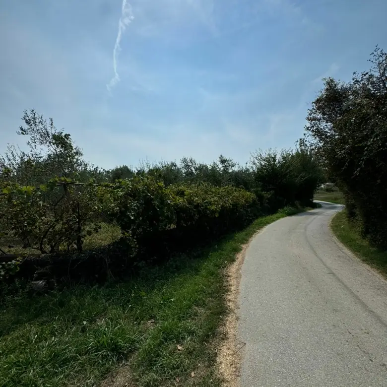 IMG 20240906 WA0004 780x780