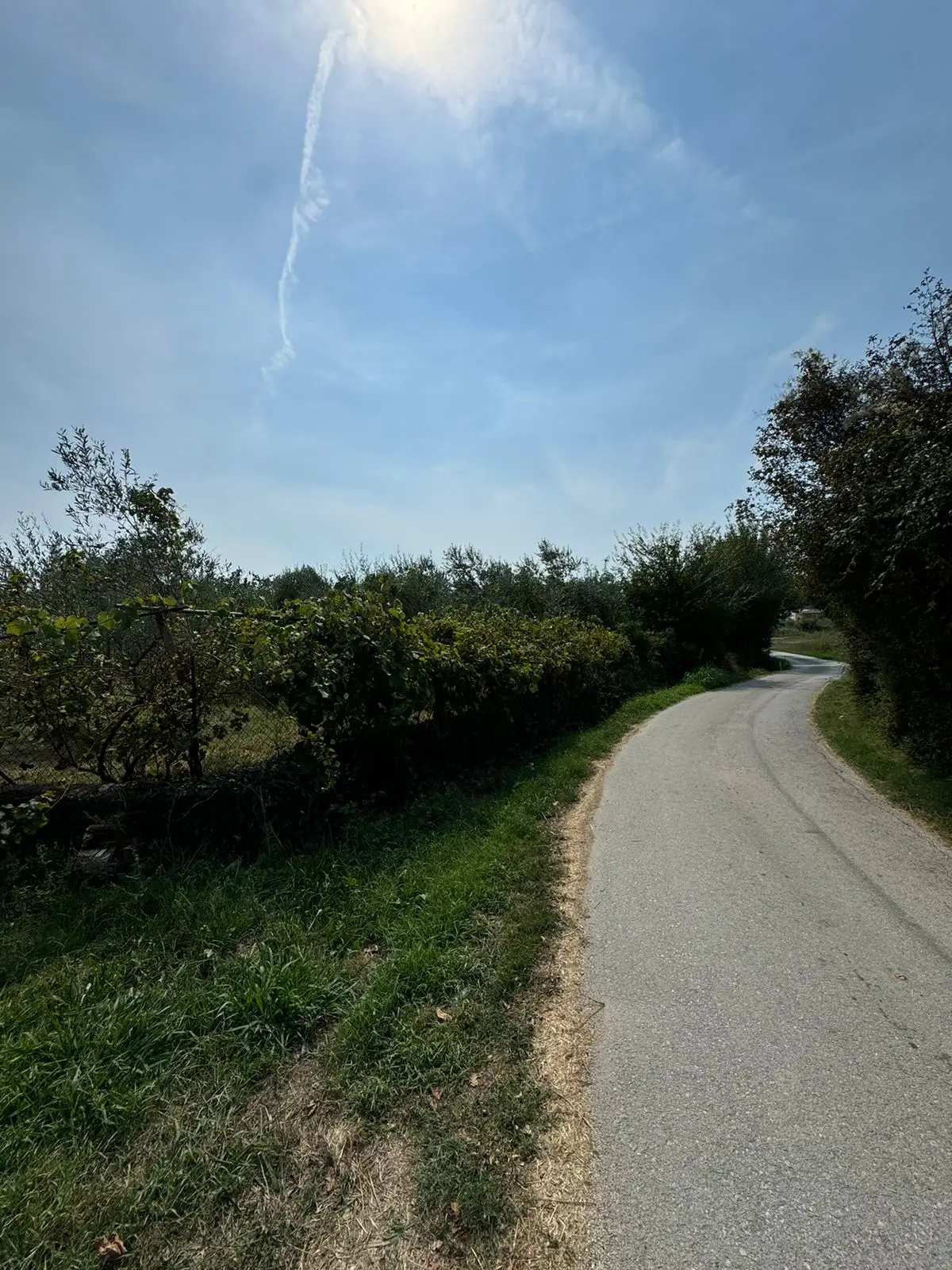 Scenic paved road amid lush greenery in Ulcinj, Montenegro&mdash;premier real estate and investment opportunities by immorenta.me/Ekosphere.