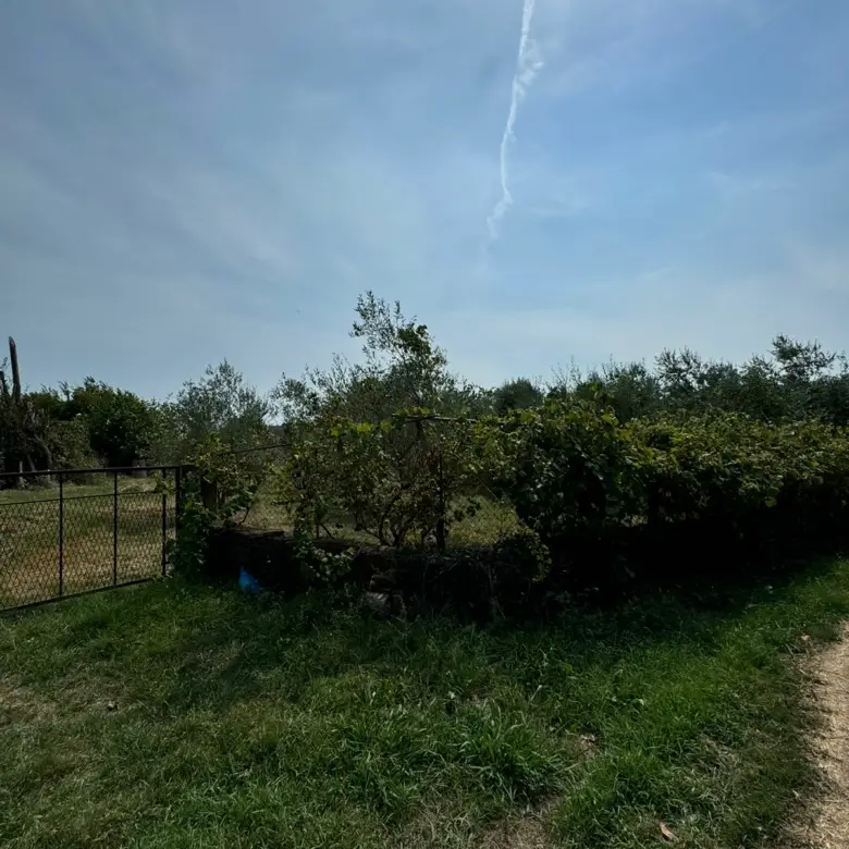 Lush garden with fenced greenery and path&mdash;prime Ulcinj real estate, great investment via Montenegro-Listings.me by Ekosphere doo.