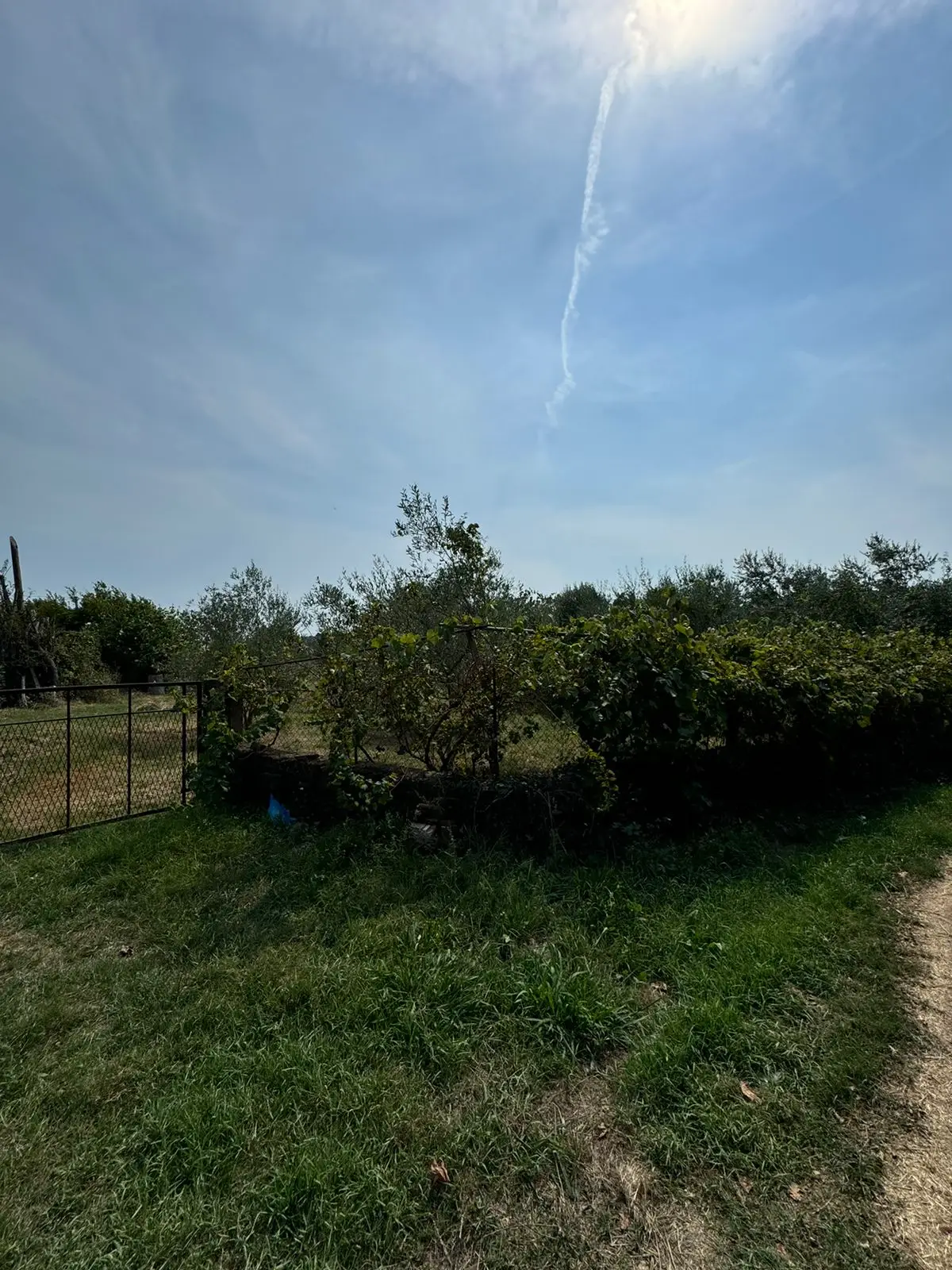 Lush garden with fenced greenery and path&mdash;prime Ulcinj real estate, great investment via Montenegro-Listings.me by Ekosphere doo.