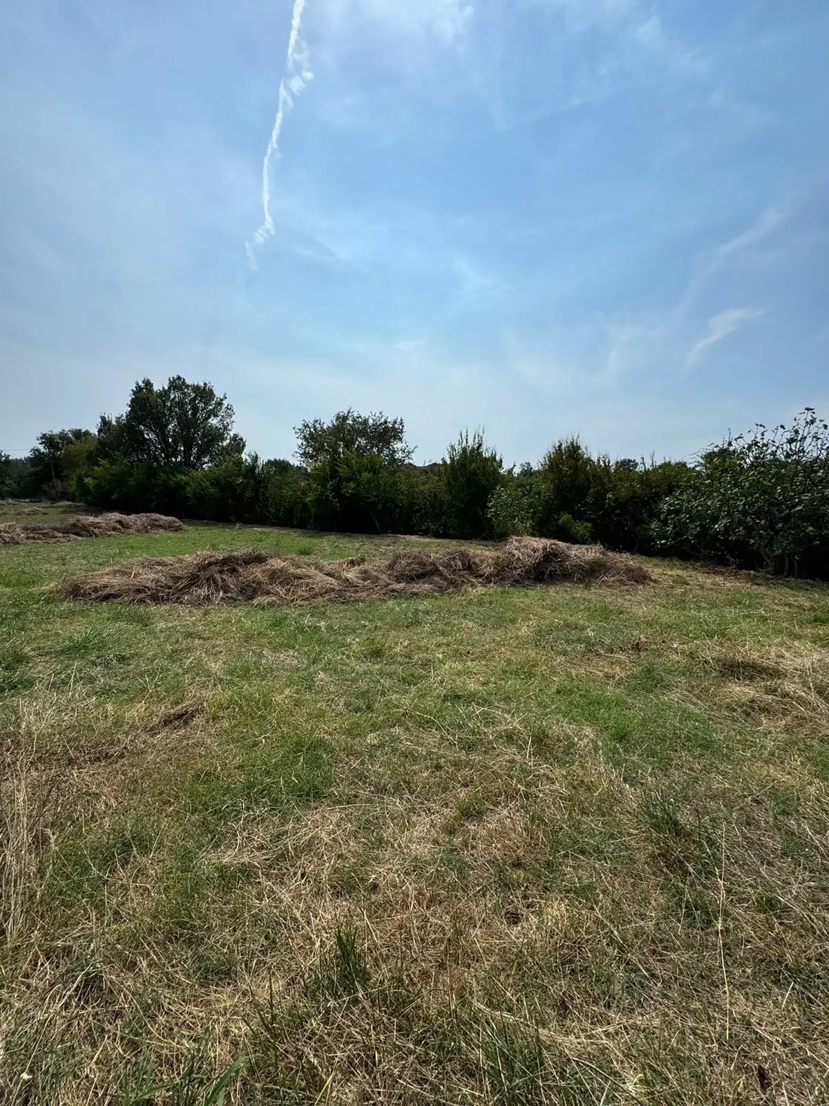 Prime investment opportunity: expansive grassy plot in Ulcinj, Montenegro&mdash;ideal for real estate. On immorenta.me by ekosphere doo.