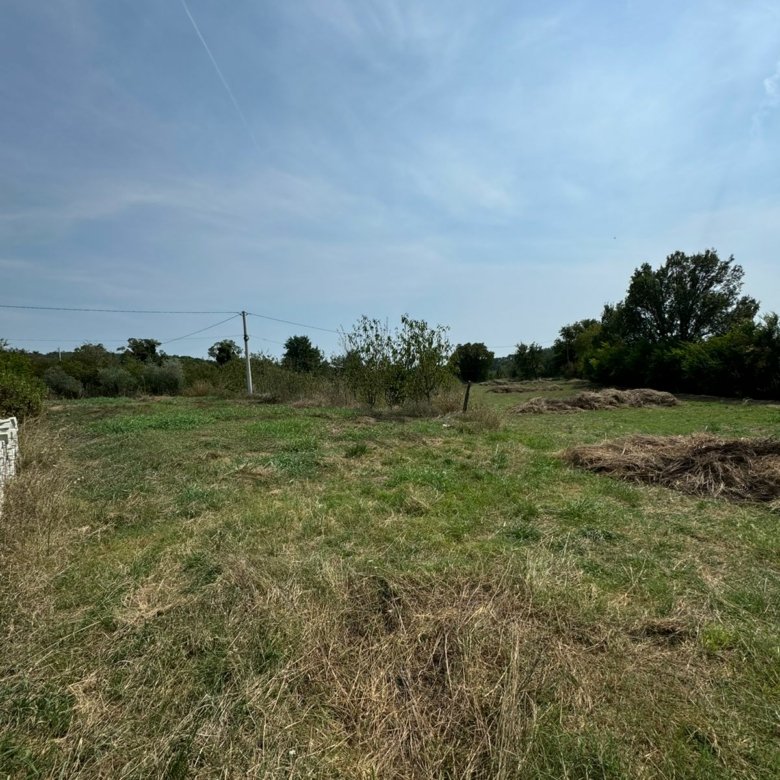 Prime Ulcinj land for sale: scenic grassy field, trees, and sky&mdash;ideal investment via immorenta.me by Ekosphere doo.