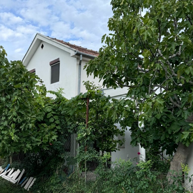 Charming white house with red-tiled roof, lush greenery, and large yard in Ulcinj&mdash;exclusive on immorenta.me by Ekosphere doo.