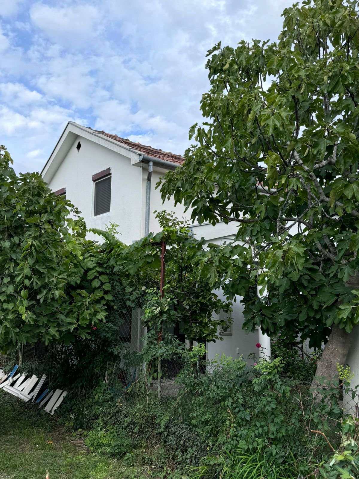 Charming white house with red-tiled roof, lush greenery, and large yard in Ulcinj&mdash;exclusive on immorenta.me by Ekosphere doo.