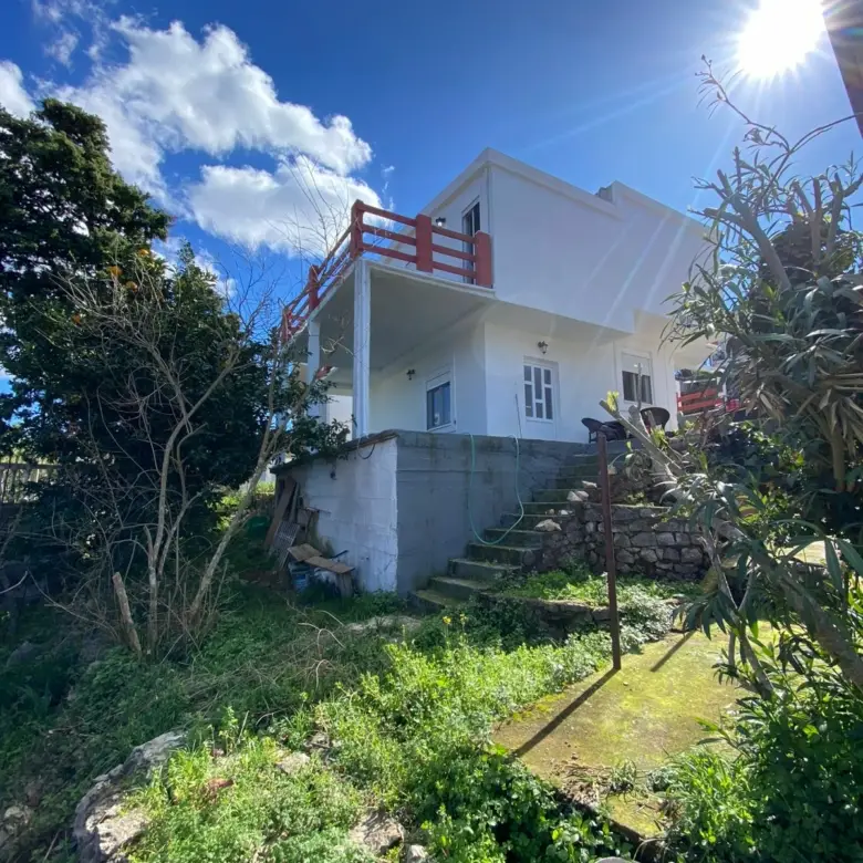 IMG 20250114 WA0043 1 780x780