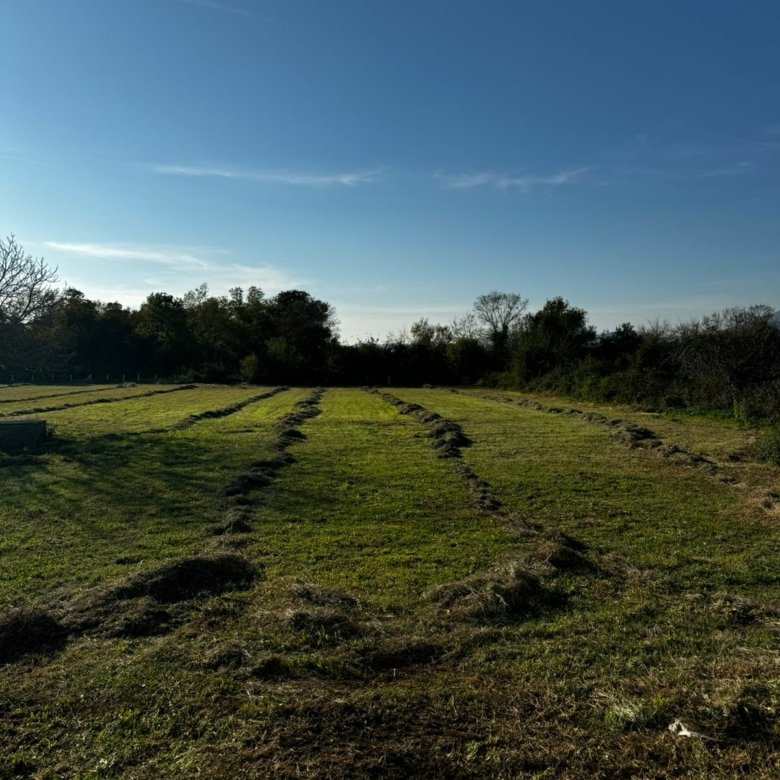 Prime Ulcinj land for sale: lush green fields, sunny skies, ideal for investment. Discover properties at immorenta.me by Ekosphere doo.