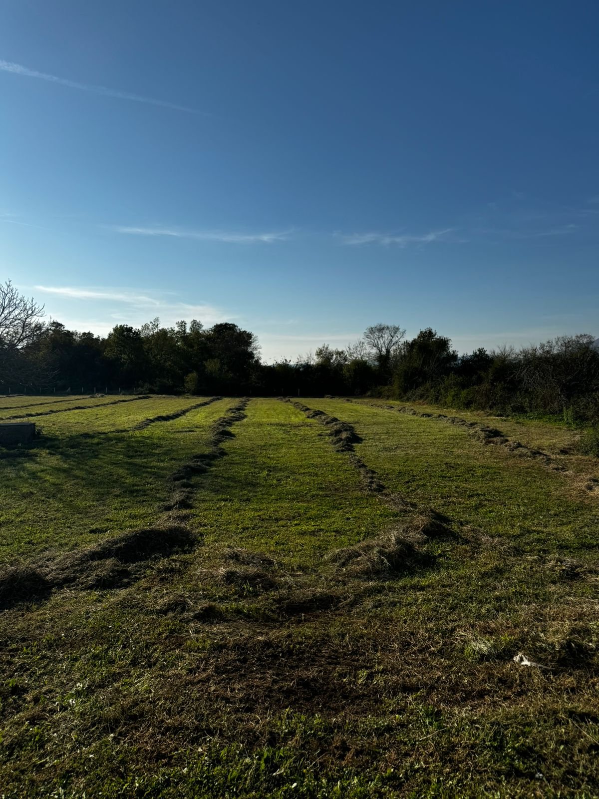 Prime Ulcinj land for sale: lush green fields, sunny skies, ideal for investment. Discover properties at immorenta.me by Ekosphere doo.