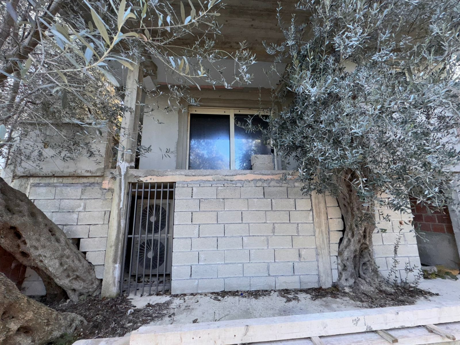 Modern concrete facade in Ulcinj, Montenegro with olive trees and AC&mdash;exclusive investment on immorenta.me by ekosphere doo.