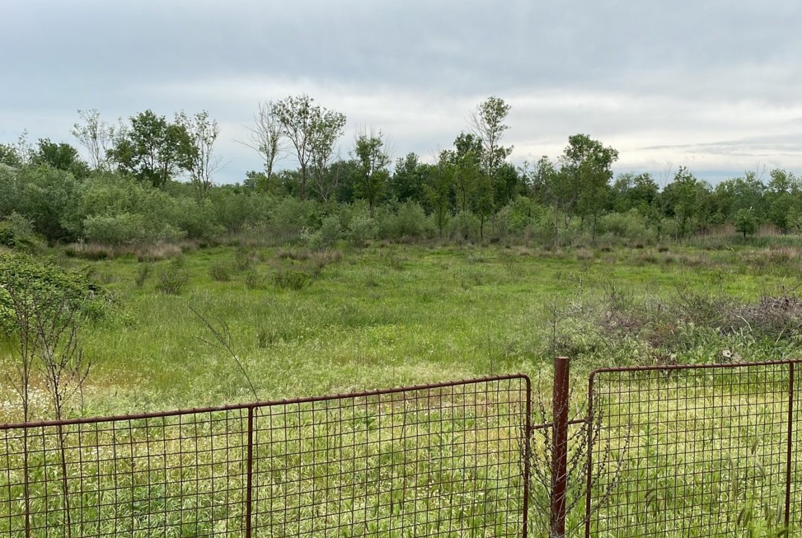 WhatsApp Image 2022 05 16 At 4.07.18 PM 1 1170x785