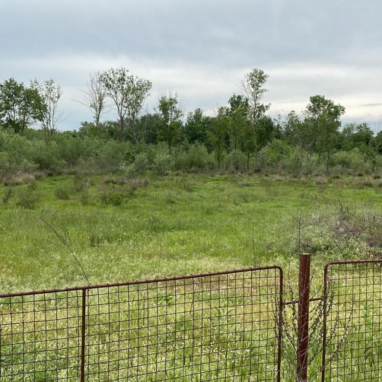 WhatsApp Image 2022 05 16 At 4.07.18 PM 1 780x780