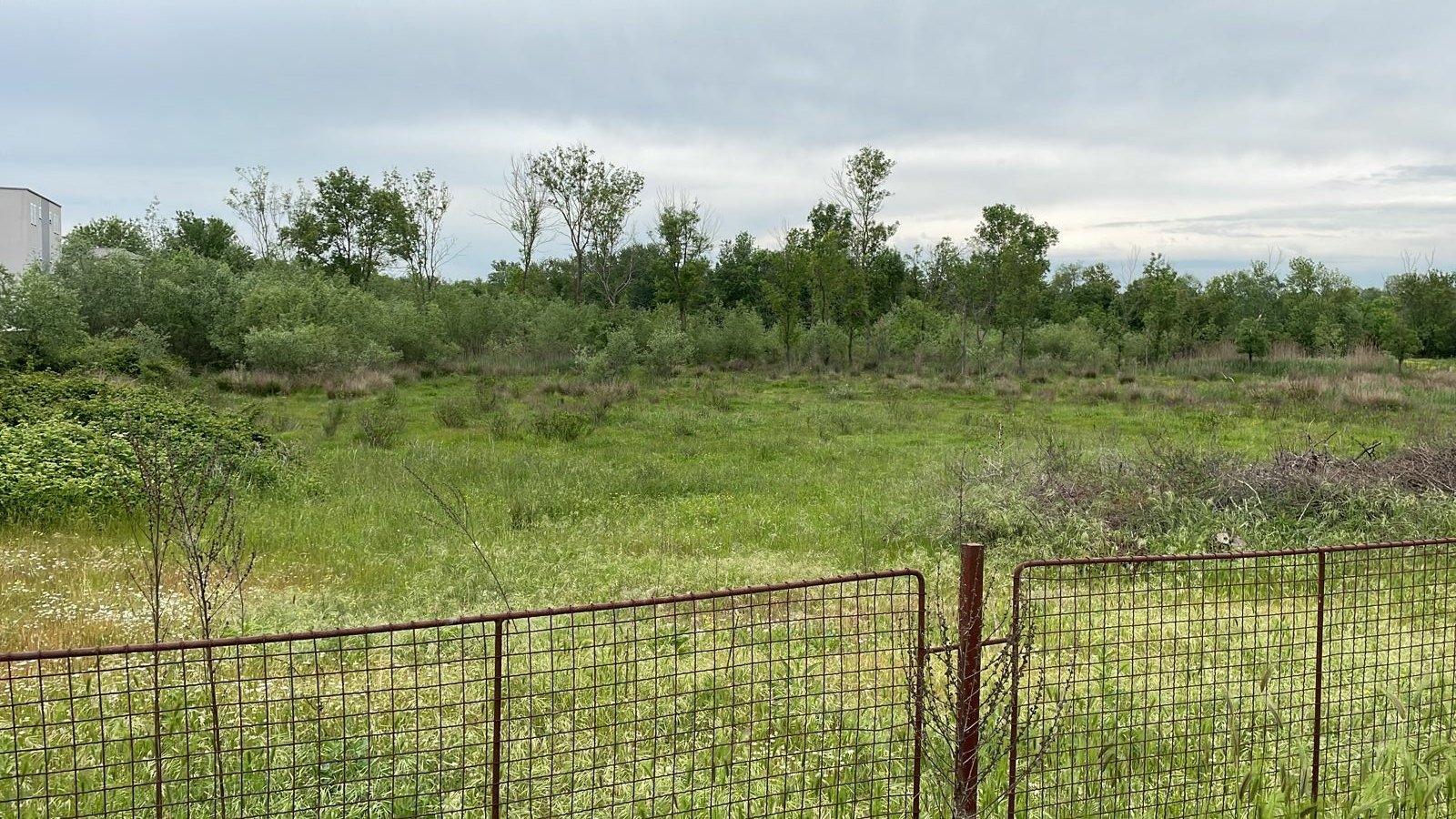 Prime Ulcinj land: spacious grassy field, mature trees, investment-ready. Exclusive on immorenta.me by Ekosphere Doo.