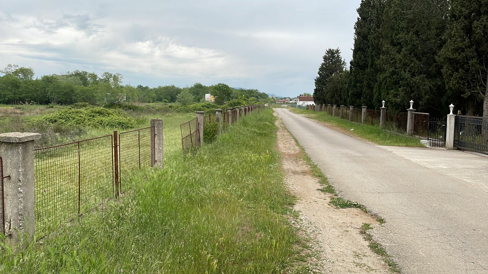 Prime Ulcinj, Montenegro property: paved access road, fenced land, mature trees, metal gate&mdash;immorenta.me by Ekosphere DOO.