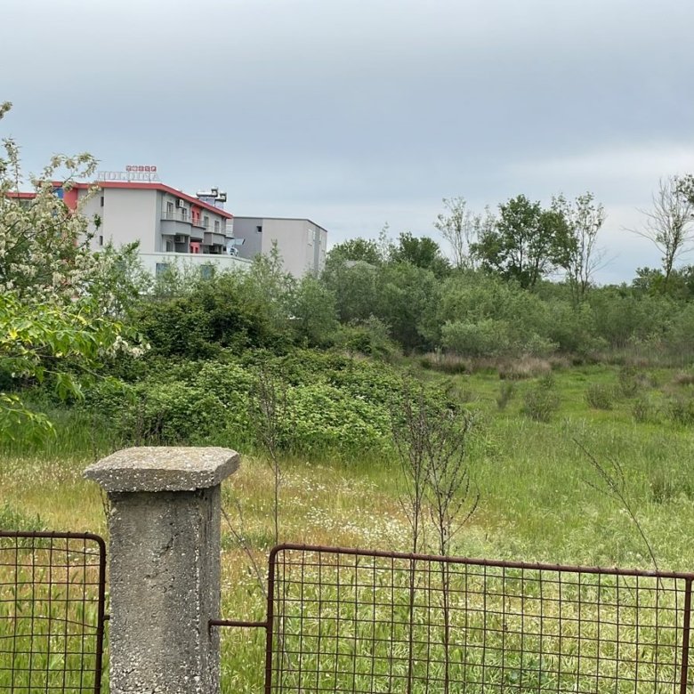 Prime investment land in Ulcinj, Montenegro: lush field with trees, building views; exclusive at immorenta.me by Ekosphere DOO.