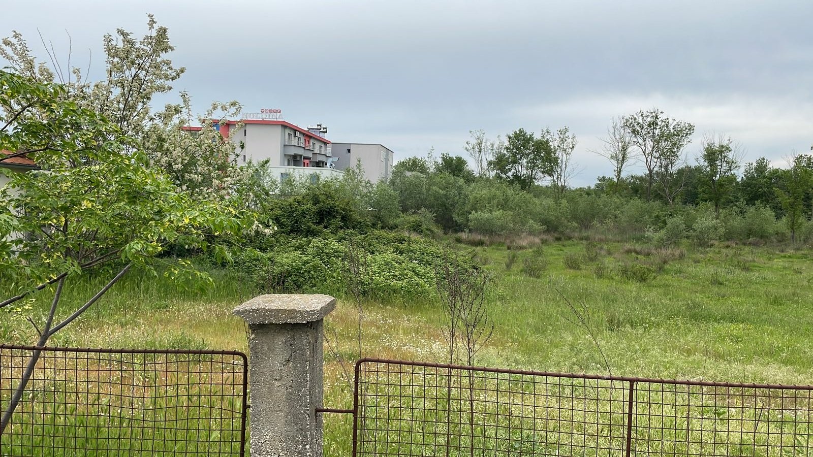 Prime investment land in Ulcinj, Montenegro: lush field with trees, building views; exclusive at immorenta.me by Ekosphere DOO.