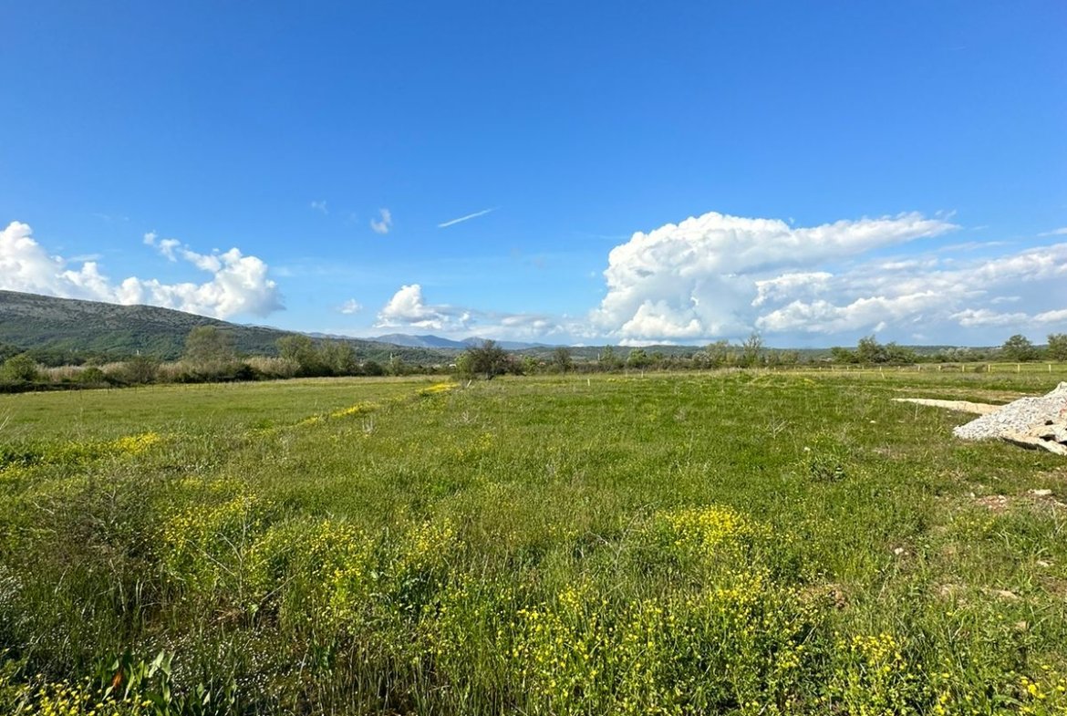 WhatsApp Slika 2023 04 20 U 16.26.07 1170x785