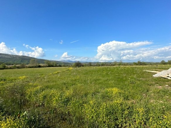 Sunlit plot with wildflowers in Ulcinj, Montenegro&mdash;prime real estate investment near properties. Listed by ekosphere doo.