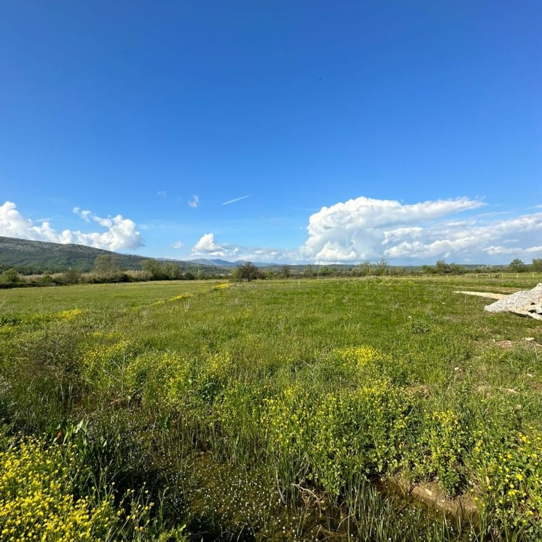 WhatsApp Slika 2023 04 20 U 16.26.07 780x780