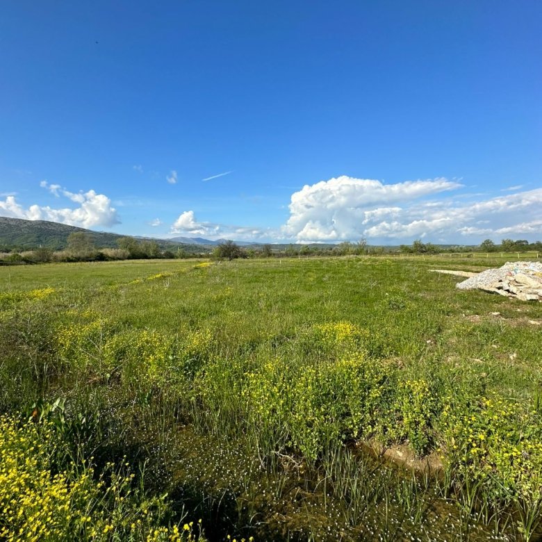 Prime Ulcinj, Montenegro investment land: lush field, wildflowers, scenic hills&mdash;exclusive at immorenta.me by ekosphere doo.