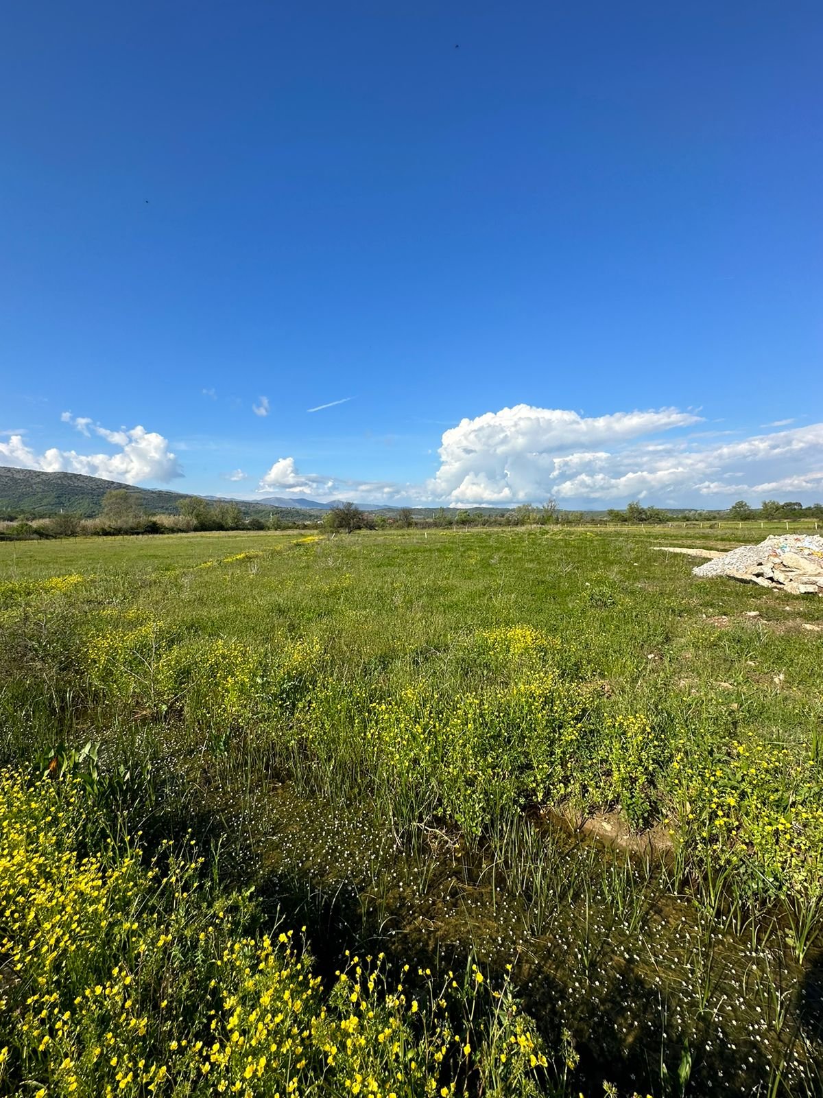 Prime Ulcinj, Montenegro investment land: lush field, wildflowers, scenic hills&mdash;exclusive at immorenta.me by ekosphere doo.