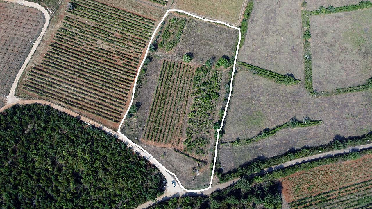 Prime Ulcinj land investment: white-outlined field, fertile soil, easy road access. Exclusive on immorenta.me by ekosphere doo.