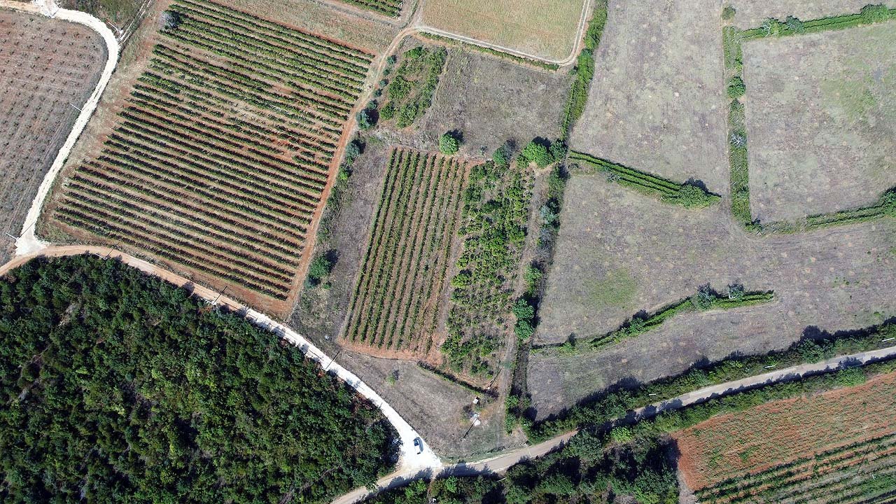 Prime Ulcinj land for sale: fertile fields, crop rows, road access, and nearby homes. Invest via immorenta.me by Ekosphere doo.