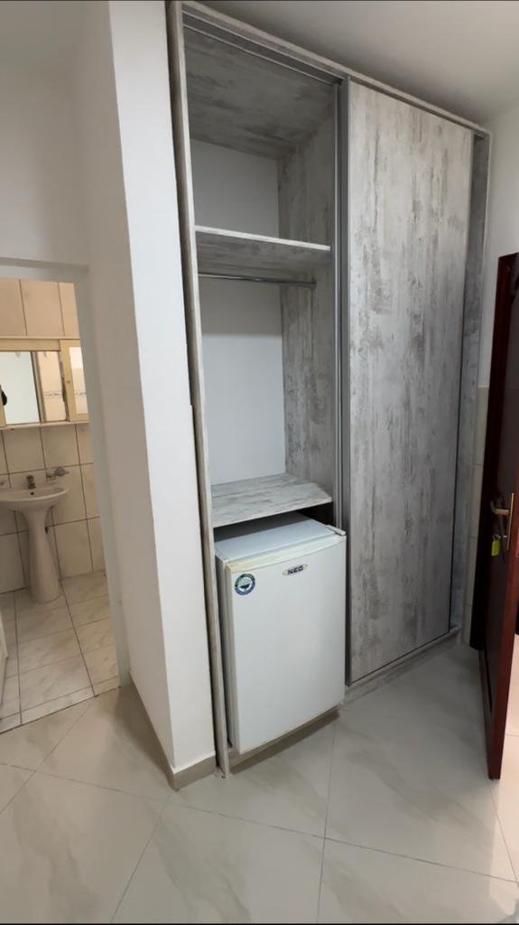 Modern Ulcinj apartment featuring smart storage, built-in wardrobe, compact fridge, and stylish bathroom. Montenegro-listings.me by Ekosphere.