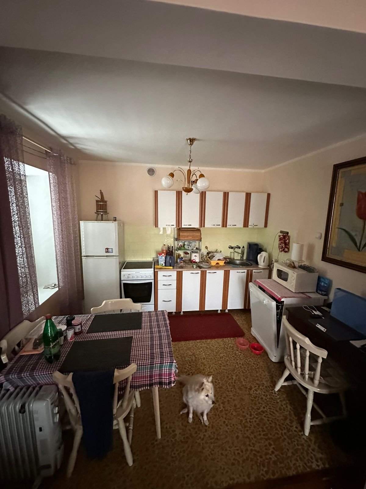 Modern kitchen in Ulcinj: white cabinets, appliances, dining area. Pet-friendly. Ideal investment&mdash;exclusive at immorenta.me (ekosphere doo).