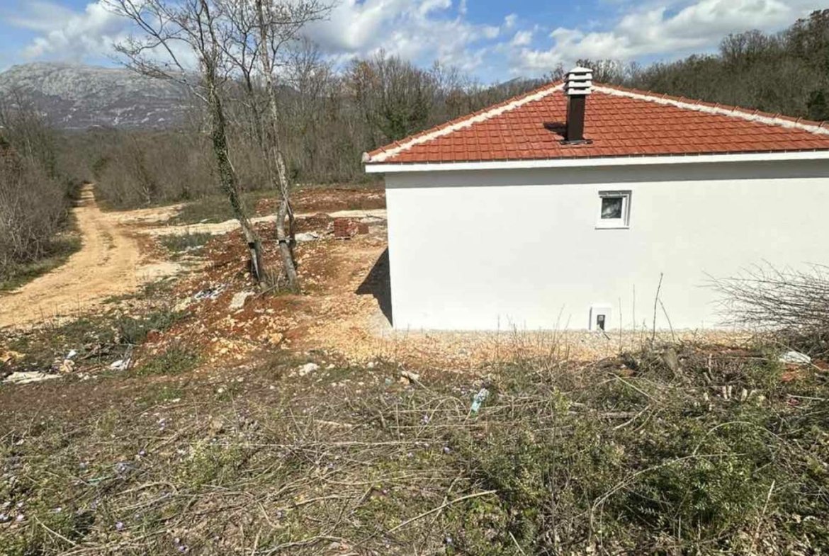 New Project 38 1170x785