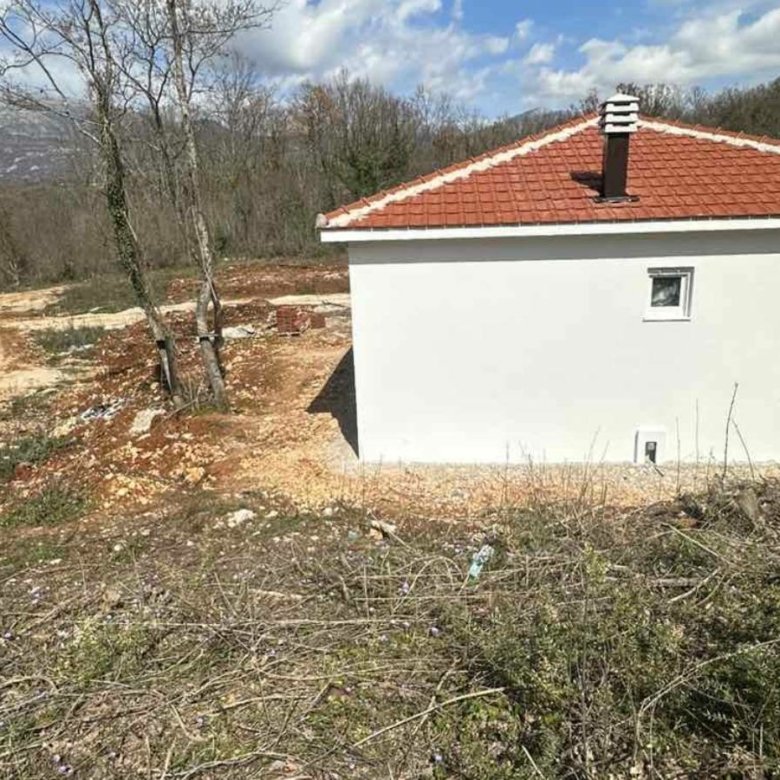 New Project 38 780x780