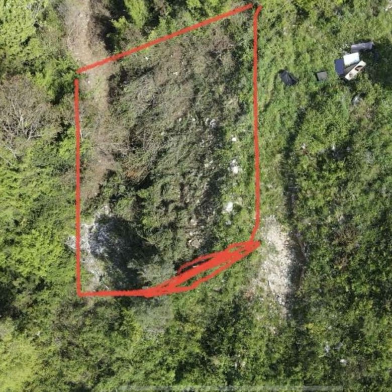 New Project 45 780x780