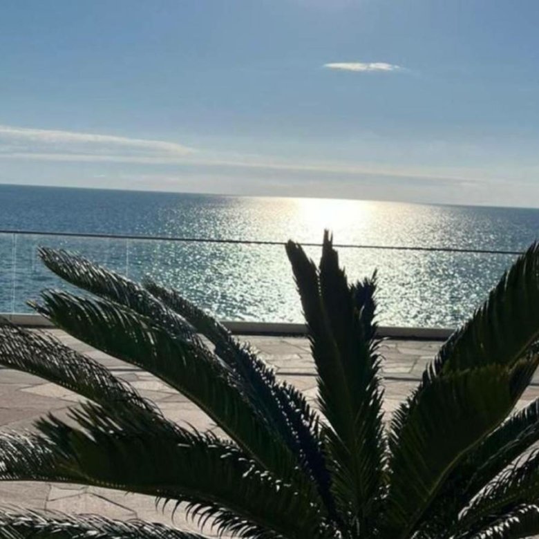Elegant stone patio with glass railing and palm, offering stunning Adriatic views&mdash;exclusive Ulcinj real estate on immorenta.me by Ekosphere doo.