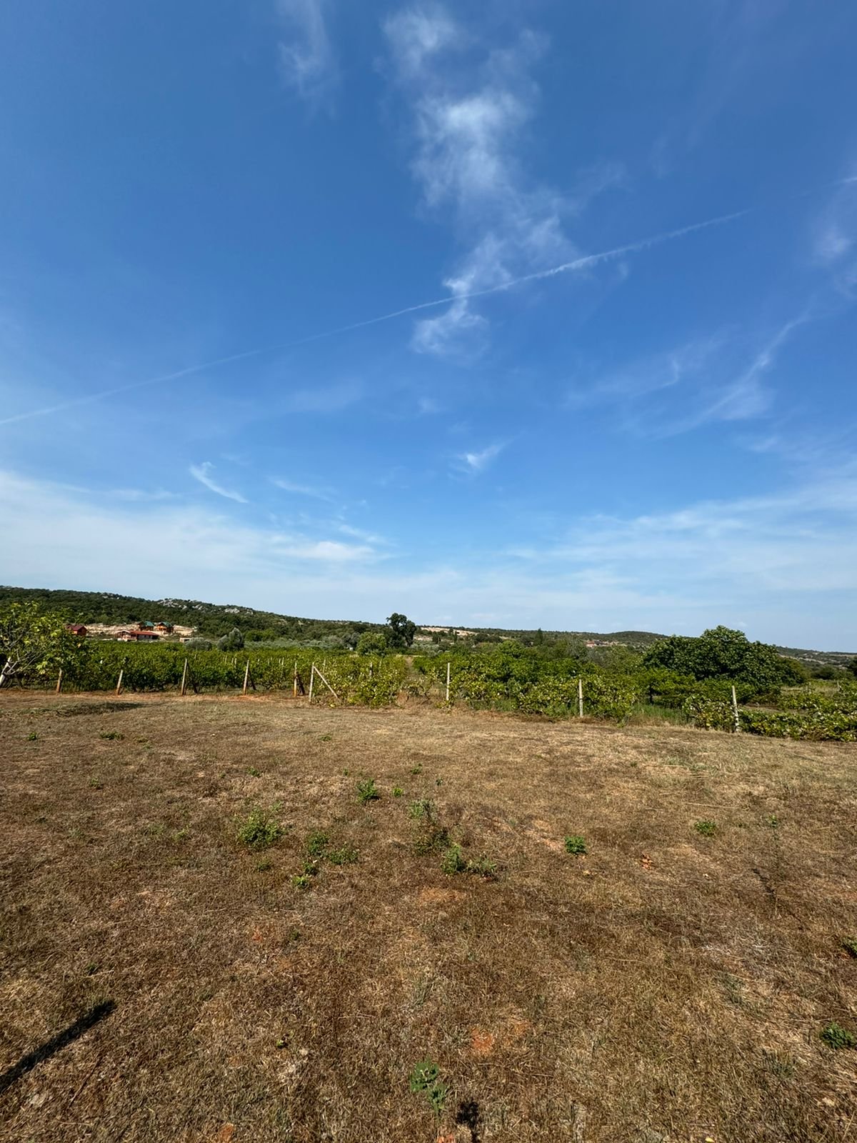 Prime Ulcinj land for sale&mdash;spacious plot with panoramic views, investment potential. Listing by Ekosphere doo on immorenta.me.