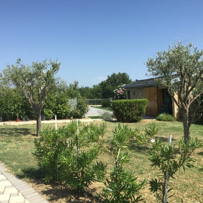 Charming Ulcinj property for sale: landscaped garden, lush trees, shed, paved path. Prime Montenegro investment via ekosphere doo.