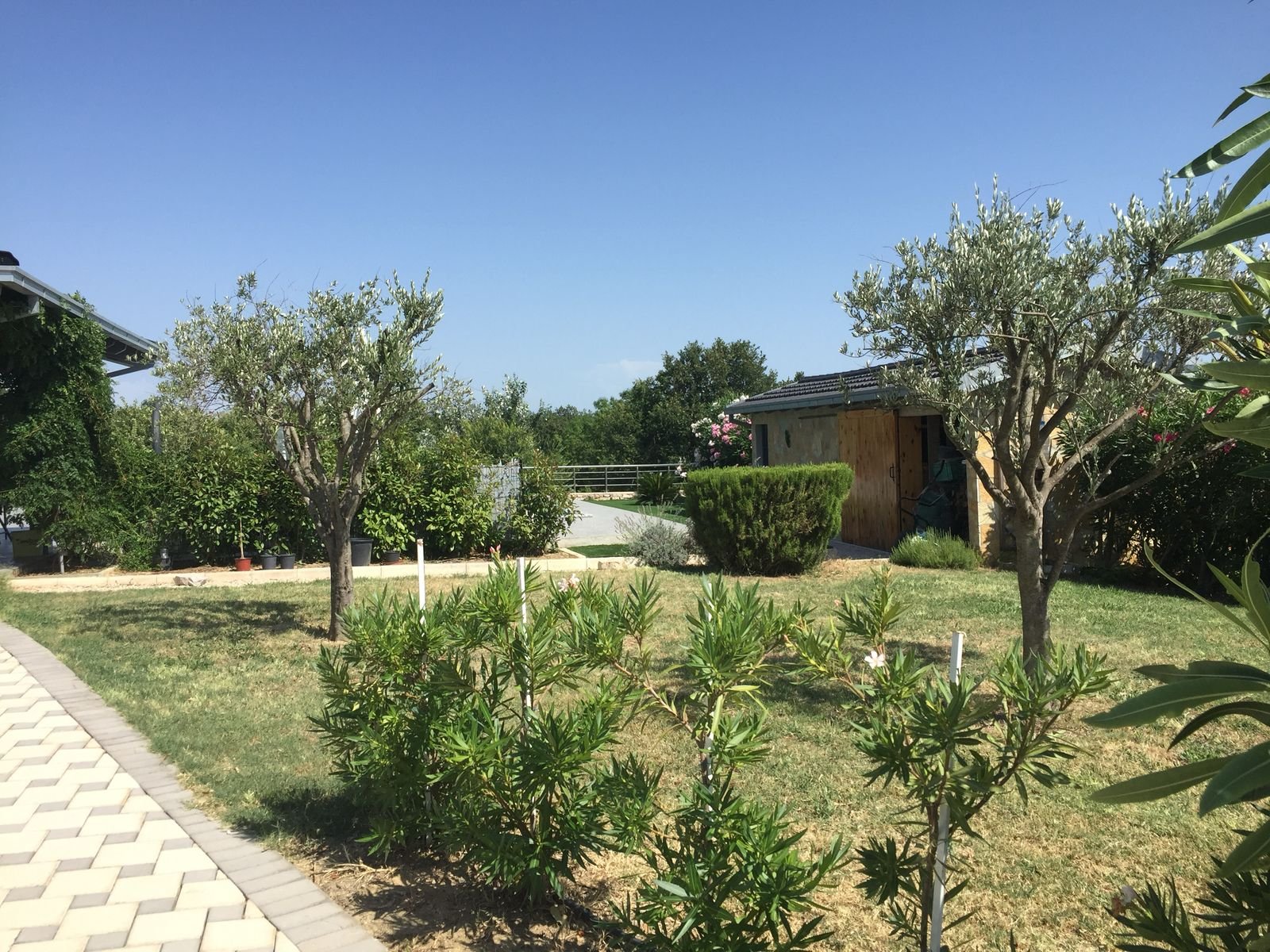 Charming Ulcinj property for sale: landscaped garden, lush trees, shed, paved path. Prime Montenegro investment via ekosphere doo.