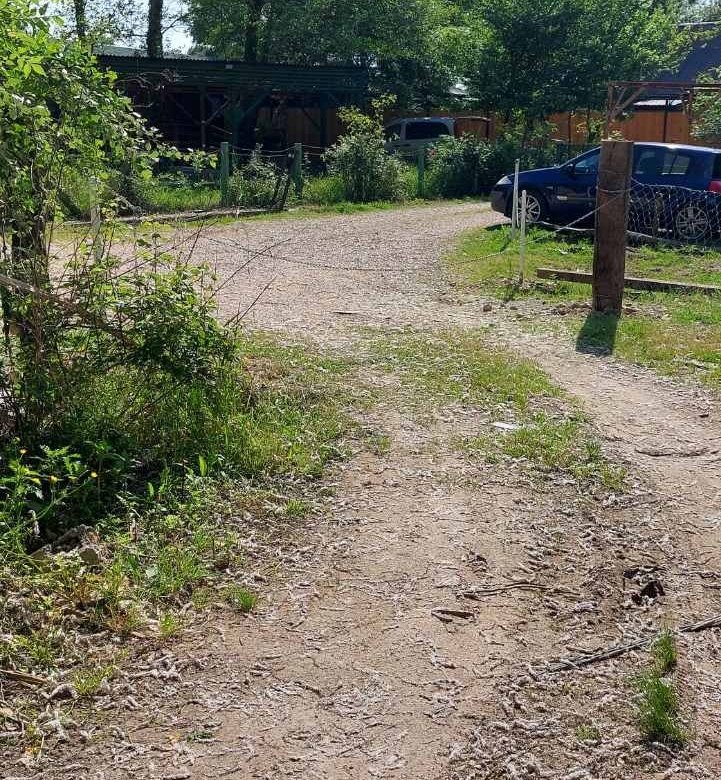 Prime Ulcinj property: sunlit land with parking, lush greenery, and building access&mdash;ideal investment via immorenta.me by ekosphere doo.