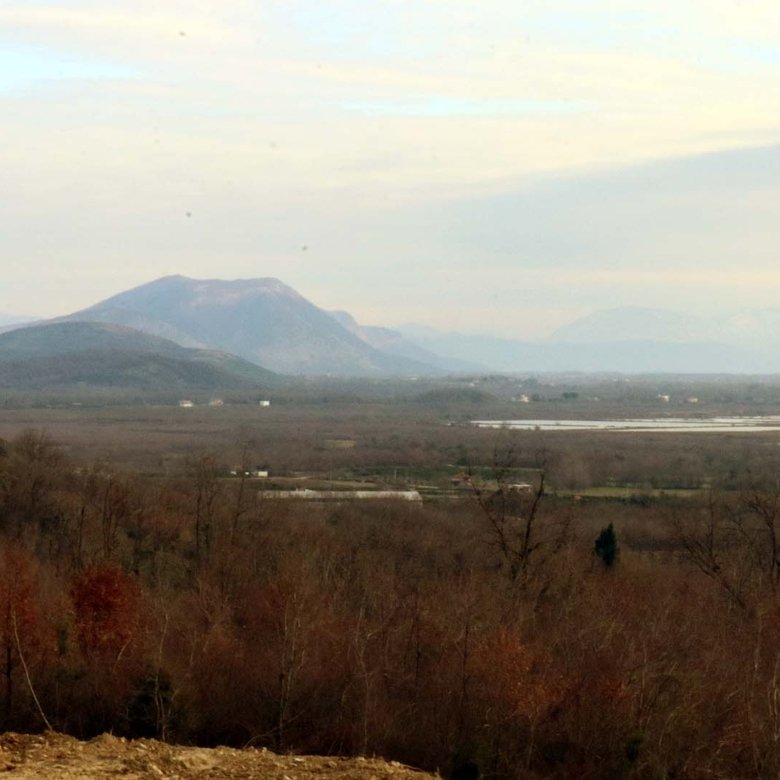 Expansive Ulcinj landscape&mdash;bare trees, open fields, distant mountains&mdash;prime Montenegro real estate by immorenta.me/Ekosphere doo.