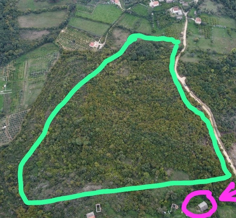 Prime forested real estate in Ulcinj, Montenegro&mdash;outlined in green, with a featured Ekosphere investment from immorenta.me.