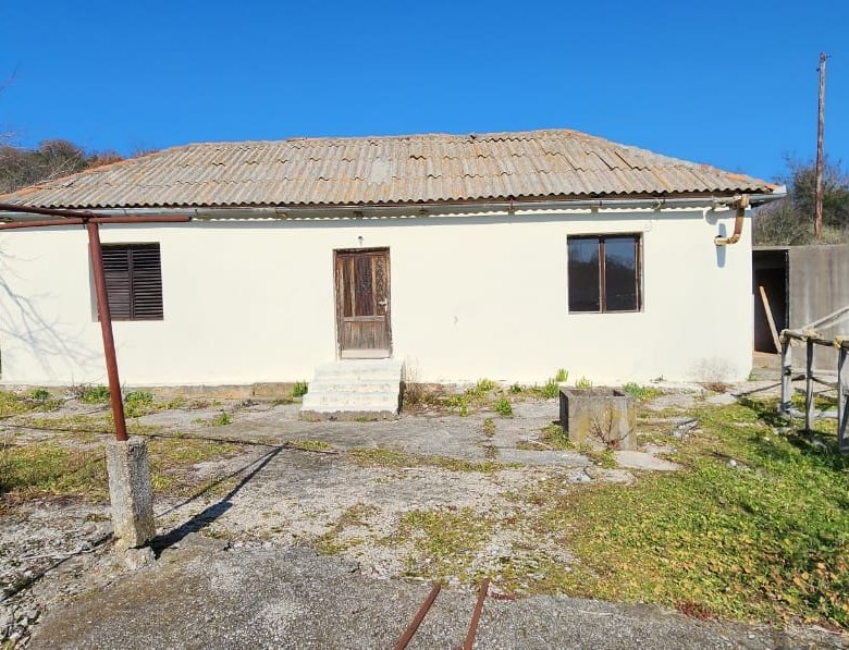 IMG 20230220 WA0089 2 780x597