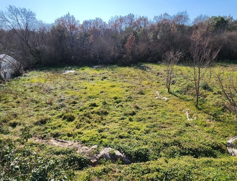 Prime investment opportunity: spacious Ulcinj field, sparse trees, greenhouse & clear skies. Listed on immorenta.me by ekosphere doo.