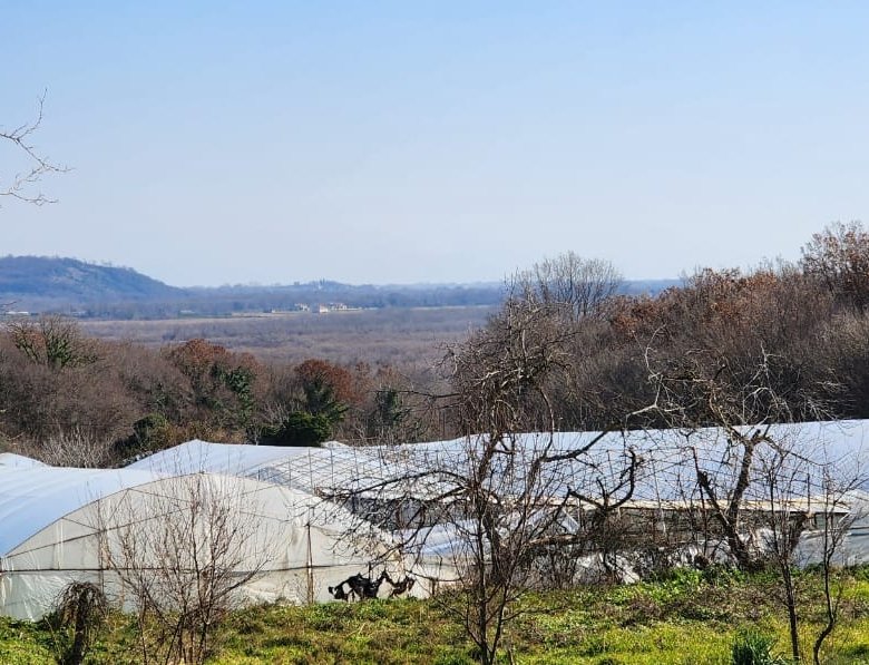 Prime investment opportunity in Ulcinj: expansive greenhouses, verdant land, panoramic hills&mdash;exclusive on immorenta.me by Ekosphere.